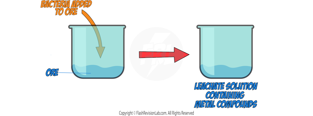 Bioleaching